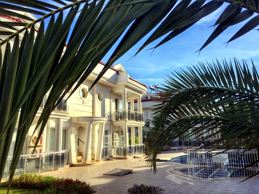 Palm-framed exterior and pool area at the apartment complex